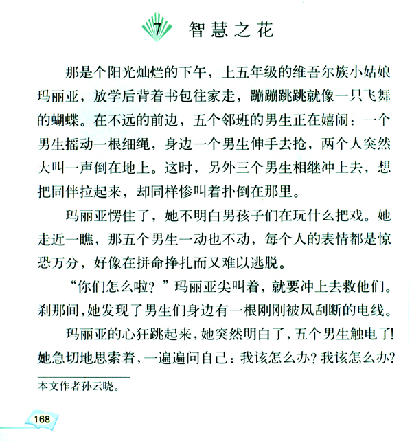 {智慧之花}.