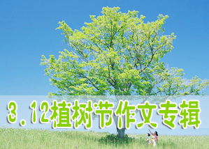 3.12ֲ��������ר��