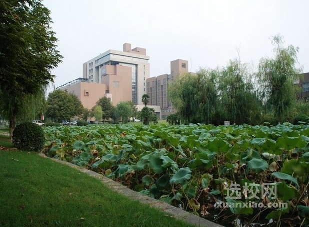 中国科学技术大学校园风景(10)