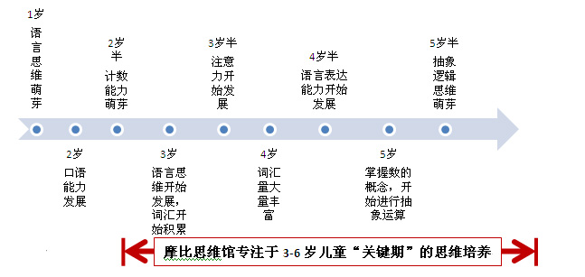 思维(心理)的发展有一定的不平衡性.年龄越小,发展速度越快.