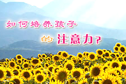 ����������ӵ�ע������
