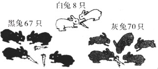 学而思 武汉奥数网 期末考试 一年级