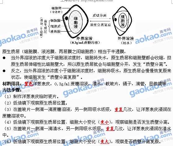 生物学业水平测试实验总结(已用红笔标注重点