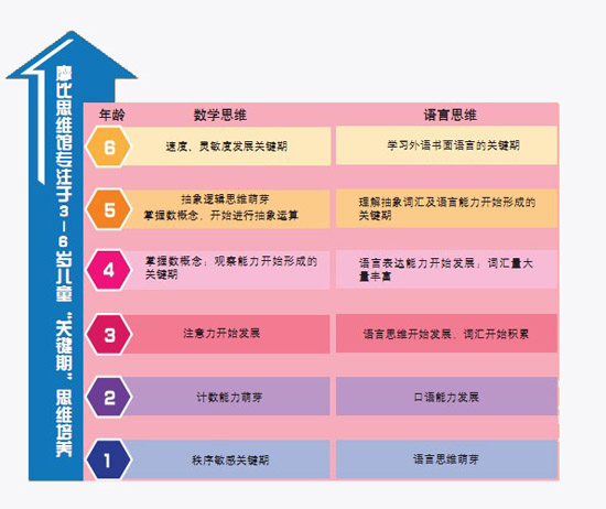 3-6岁数学和语言思维发展关键期