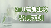 2011�߿����￼��Ԥ��