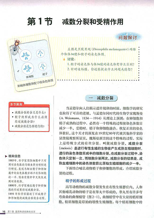 人教版生物必修二电子书2.1+减数分裂和受精作