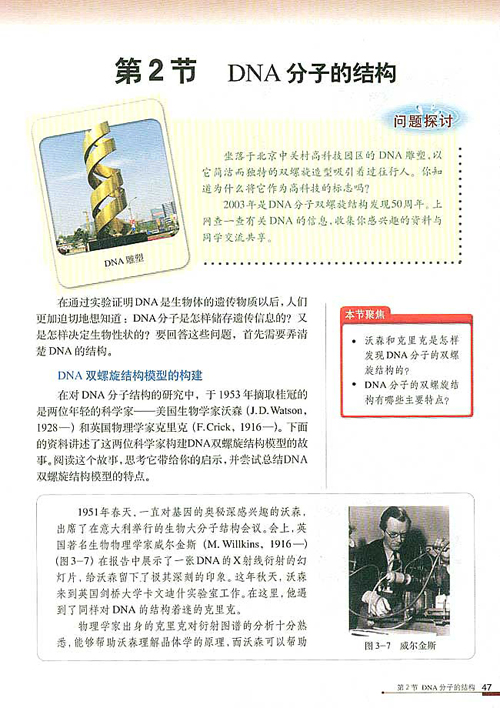 人教版生物必修二电子课本 3.2 DNA的分子结构