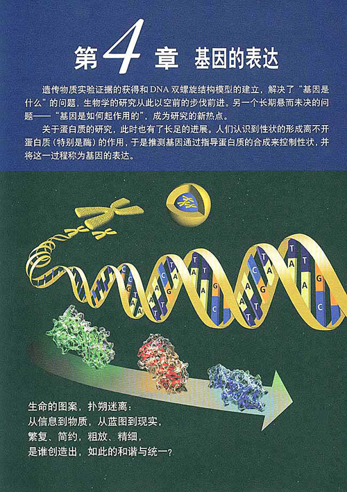 人教版生物必修二电子课本 第四章 基因的表达