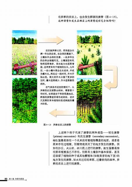 高二生物群落的演替知识点