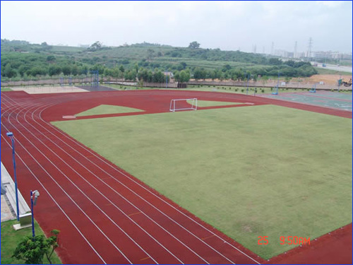 北师大东莞石竹附属学校的环境[图]_东莞奥数