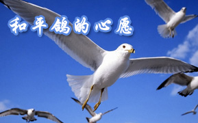 ��ƽ������Ը