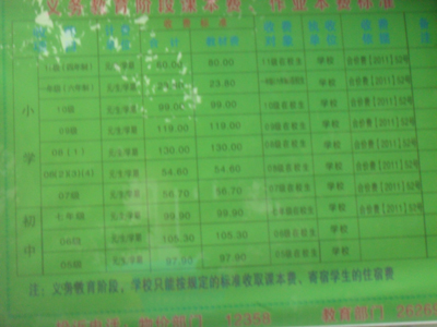 ϷʵѧУ׶οαѡҵշѱ׼