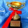 2011第九届希望杯小学组复赛试题及答案