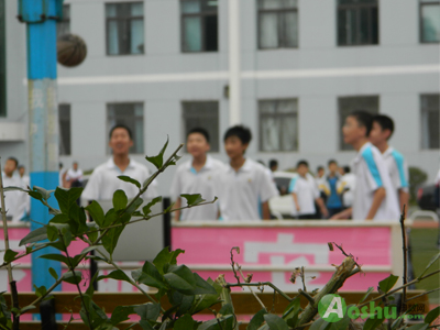 带你走进沈阳市振东中学 展现学校风采(3)