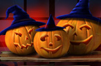 Ħ��˼ά��2011��ʥ�ڻ