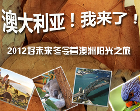 2012���ӻ�������ϵ��֮�������ӭ����