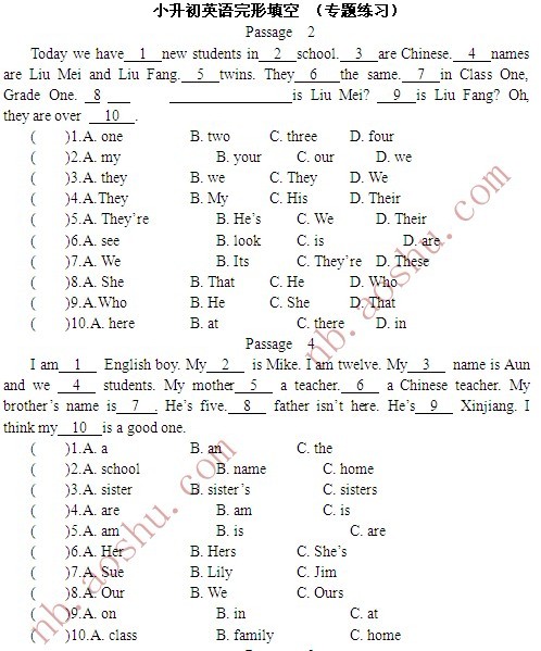 2012年宁波小升初英语完形填空专项训练