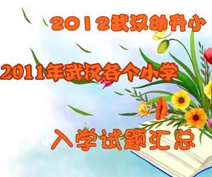 �人����С��2011���人����Сѧ�������