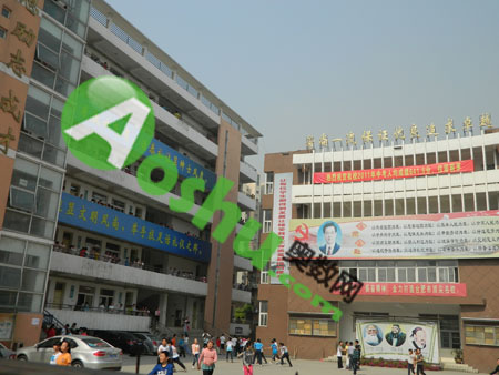 鲁山县育英学校2016小升初成绩查询,语文数学a,综合科