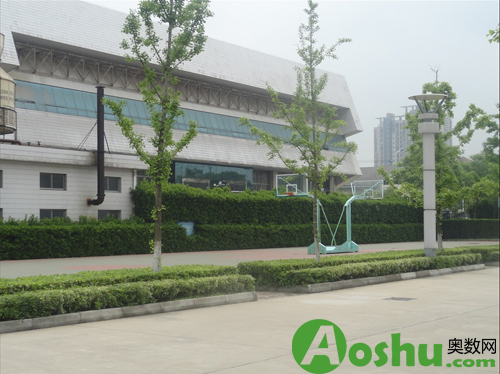 新区实验中学体育馆