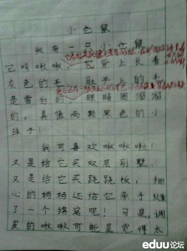 写这篇观察小动物作文,是三年级下学期老师要求的,孩子刚好养了一只