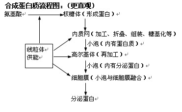 2020高三生物筆記總結分享