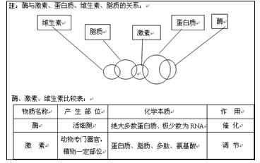 高三生物筆記知識(shí)點(diǎn)