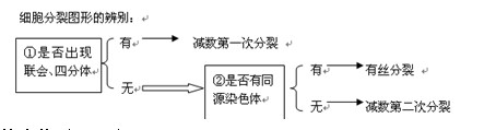 高三生物笔记知识点