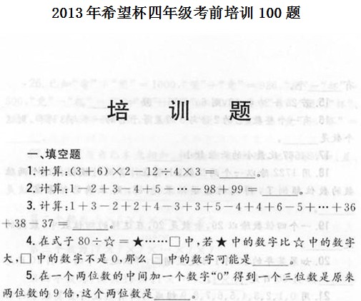 2013四年级希望杯考前100题