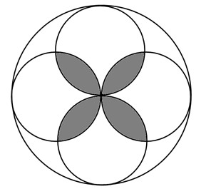 六年级希望杯每日一练