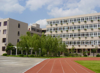 金英小学