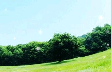 上海和衷中学 上海和衷中学