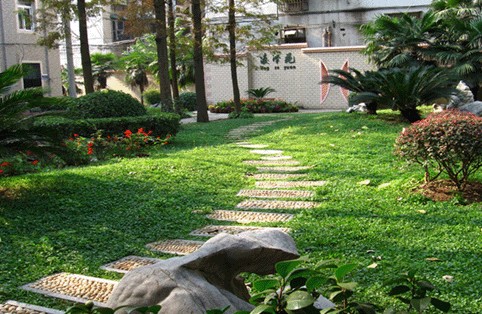 武汉六中上智中学班主任名单