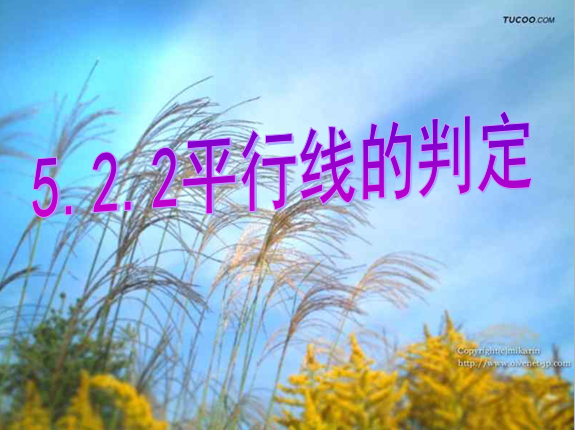 5.2.2 平行线的判定_中考网