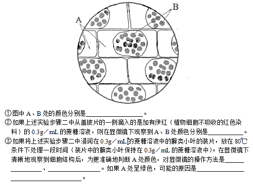 高考生物考点自测:显微镜的使用(2)_高考网