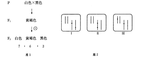 ③若用f1代植株作母本进行测交实验,所得子代植株所结种子的种