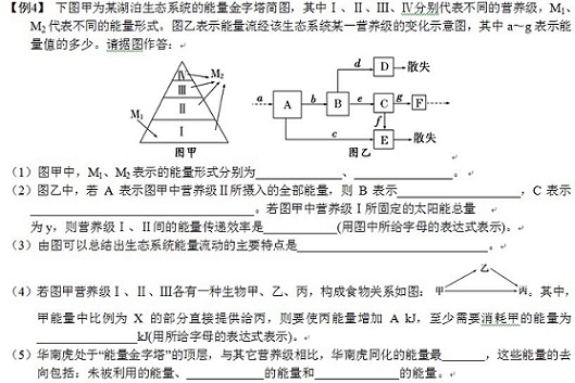 高考生物考点自测:生态系统的能量流动(2)