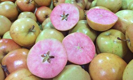 双语：特易购超市惊现“奇葩”艳粉色的苹果