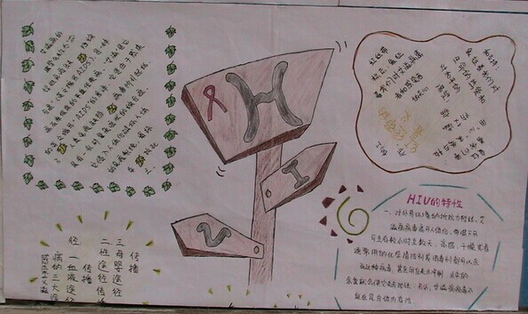 艾滋病手抄报:HIV知识_英语网