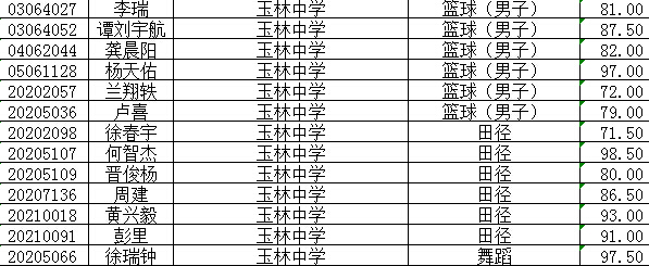 成都玉林中学2015小升初特长生录取名单