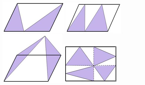 四年级奥数平行四边形中的一半模型