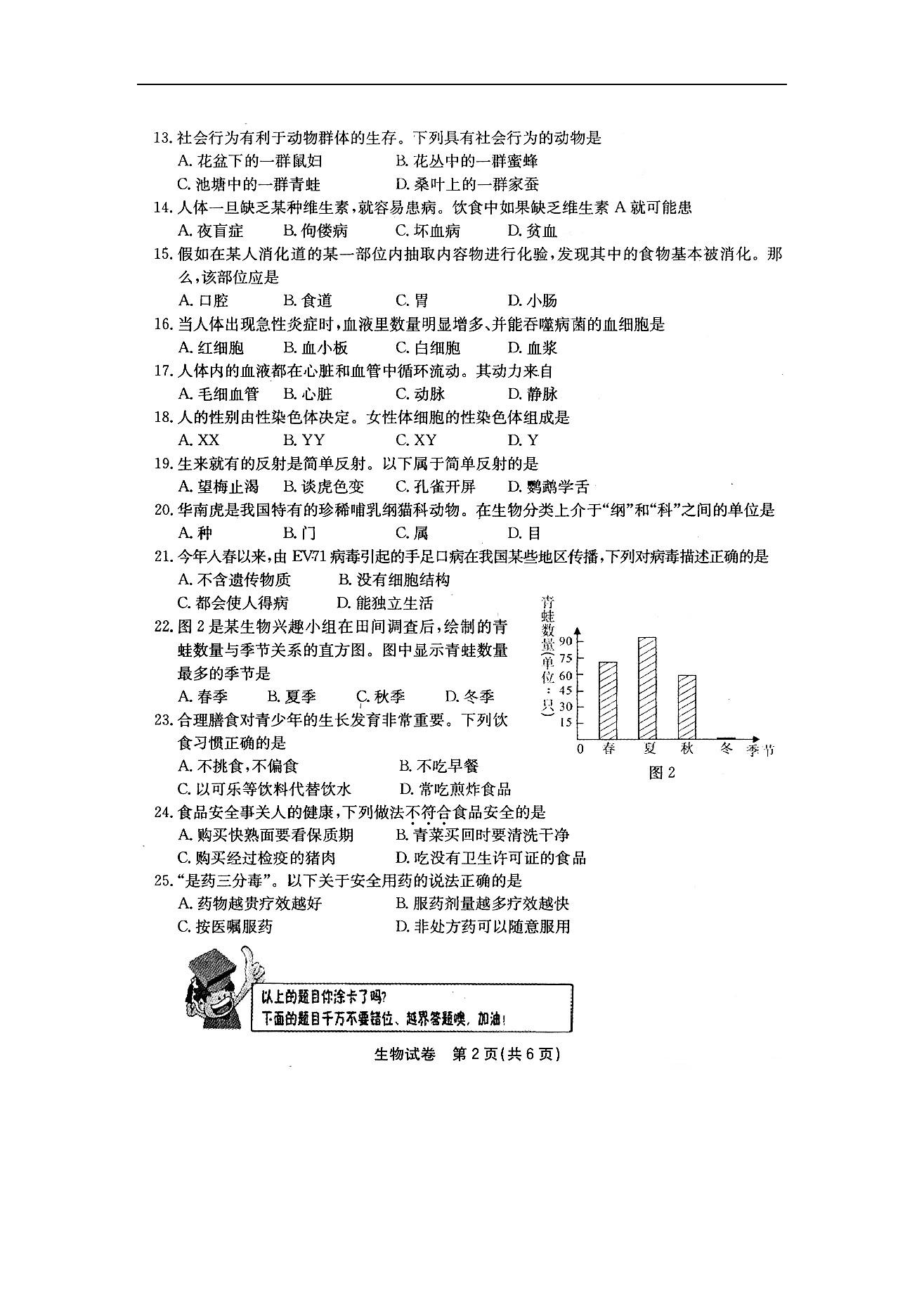 2008긣п}DƬ棩