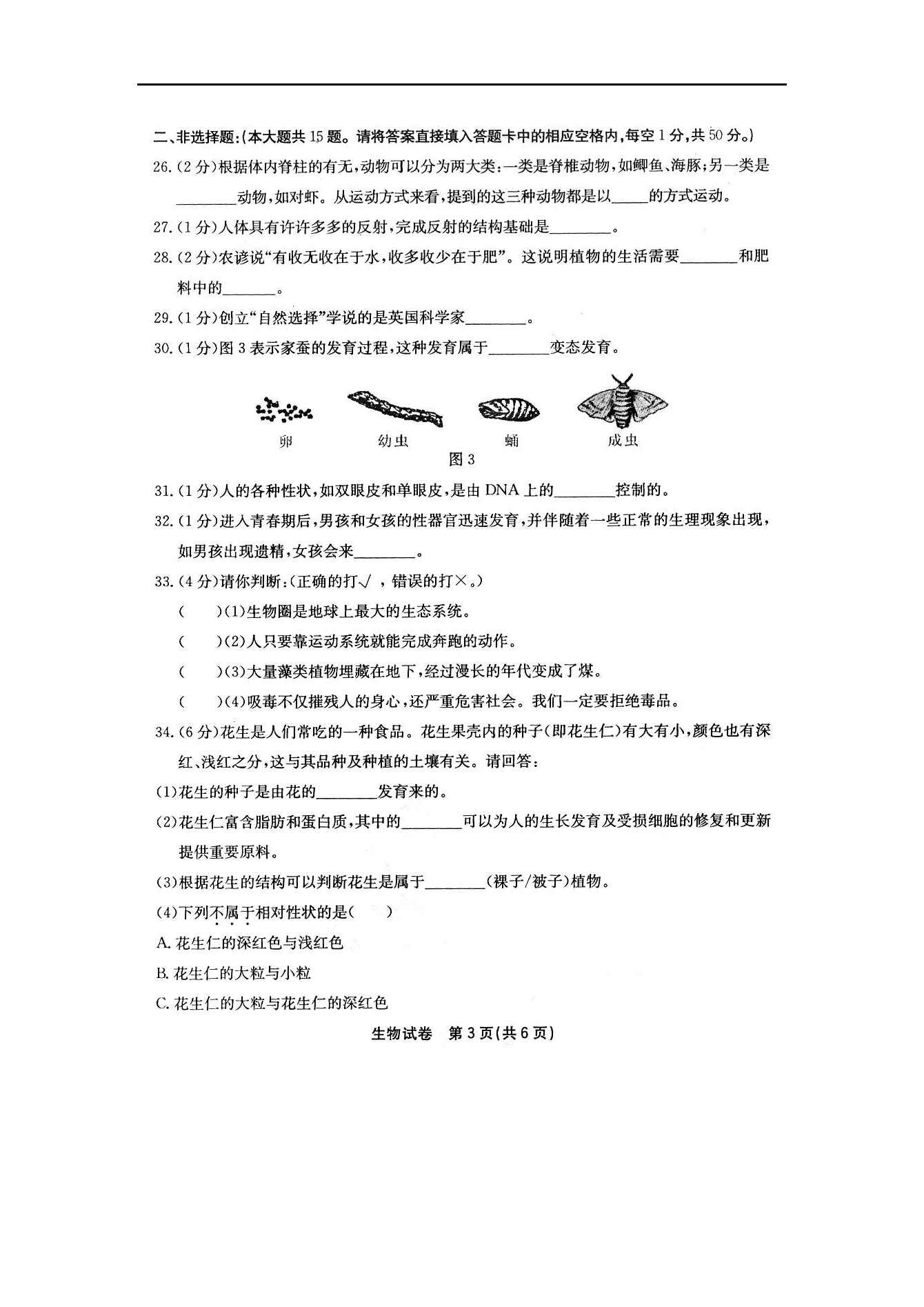 2008긣п}DƬ棩
