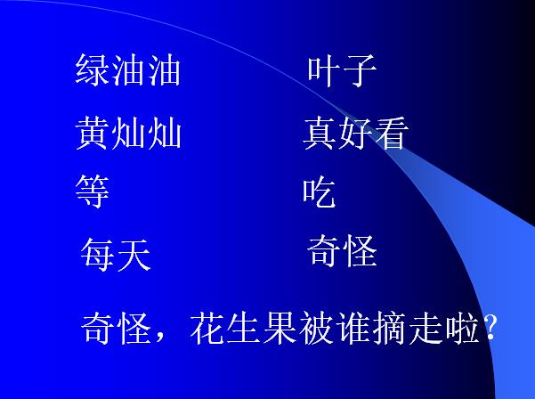 苏教版一年级上册语文课件《小松鼠找花生》