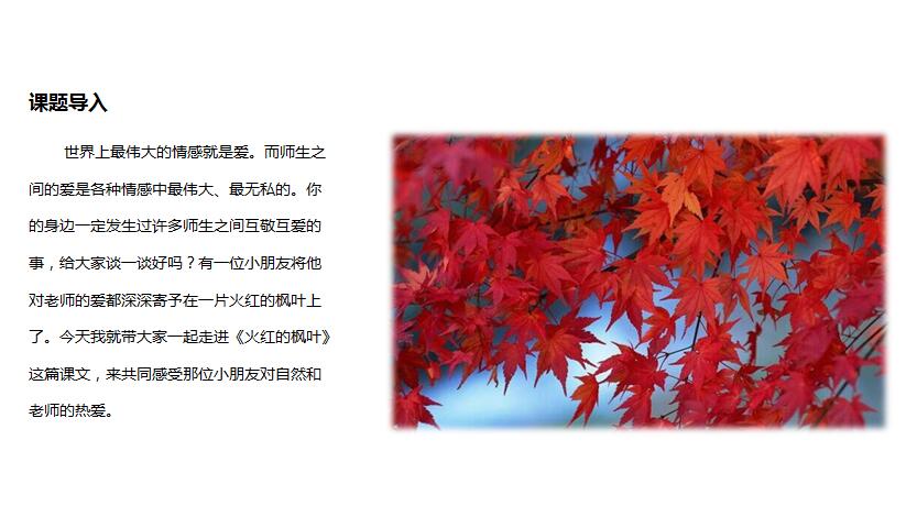 北师大版二年级上册语文课件《火红的枫叶》