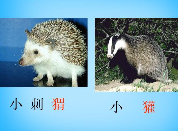 ̰꼉σZnQٝ