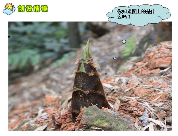 ZS꼉ZnSѿ