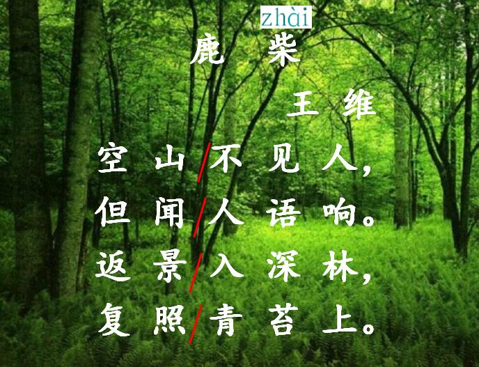 沪教版三年级上册语文课件《鹿柴》(3)_奥数网