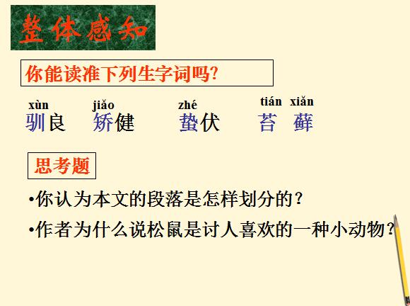 꼉Zn