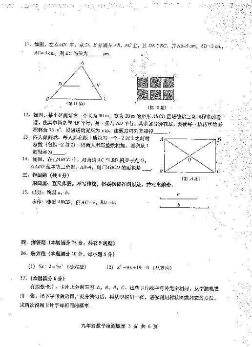 2018ɽ|uSu꼉(j)ϔ(sh)W(xu)ԇ}DƬ棩